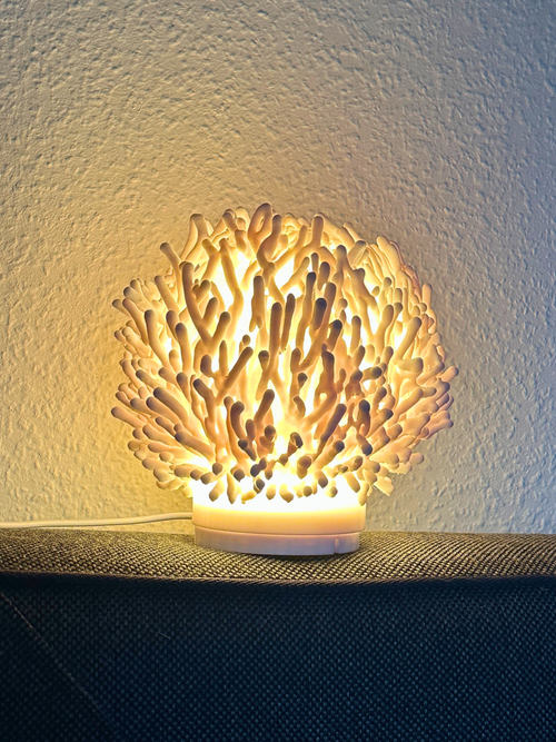 Coral lamp